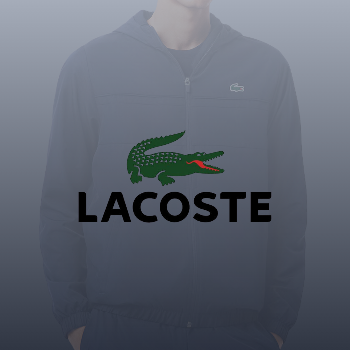 CHÁNDALS LACOSTE