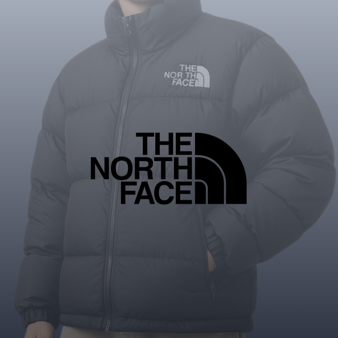 Chaquetas The North Face