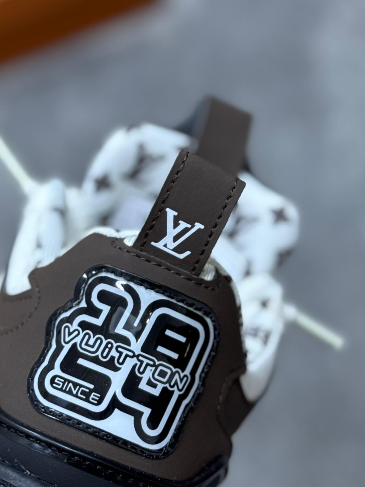 LUIS VUITTON SKATE