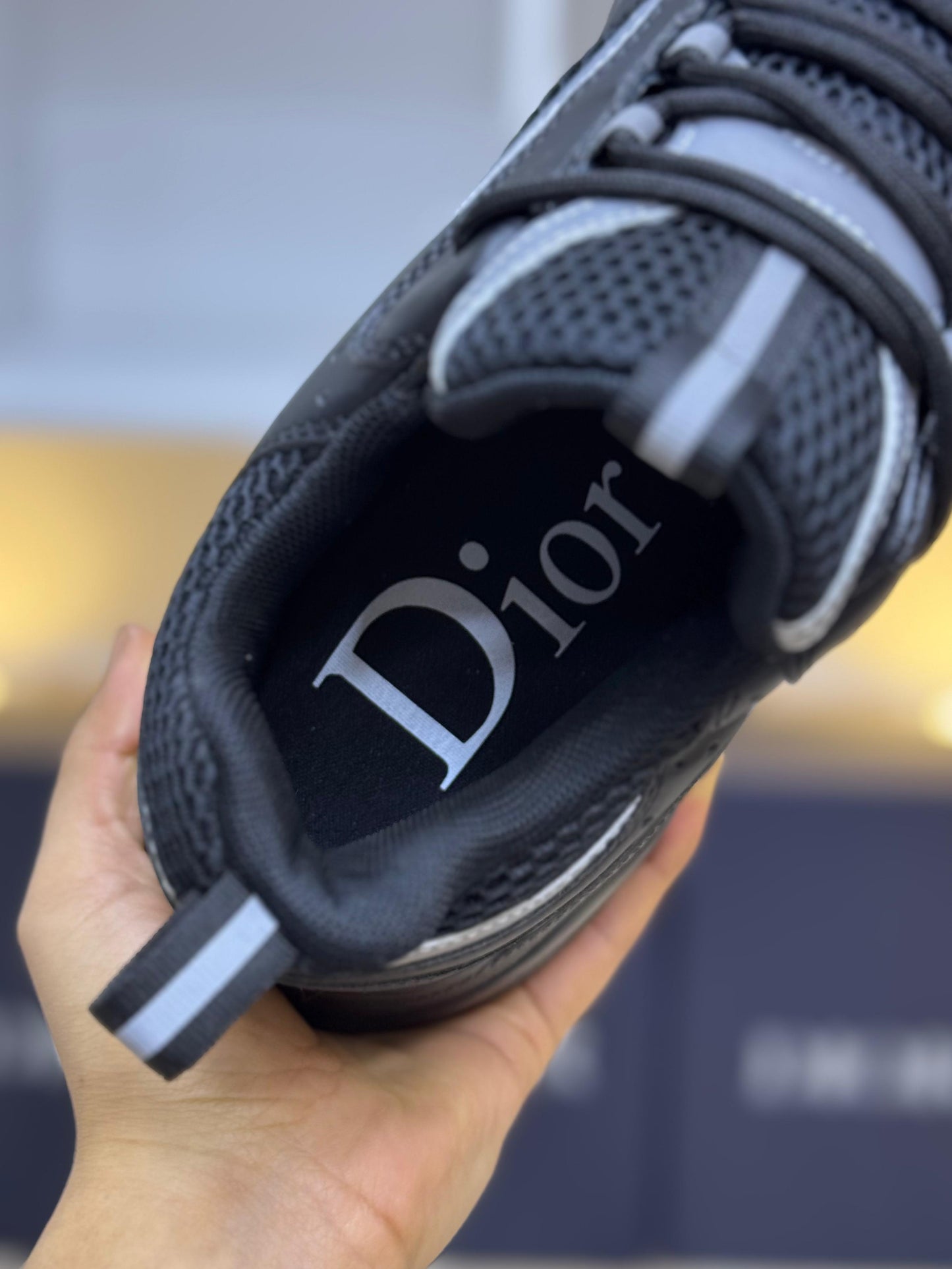 Dior B22 Full Black